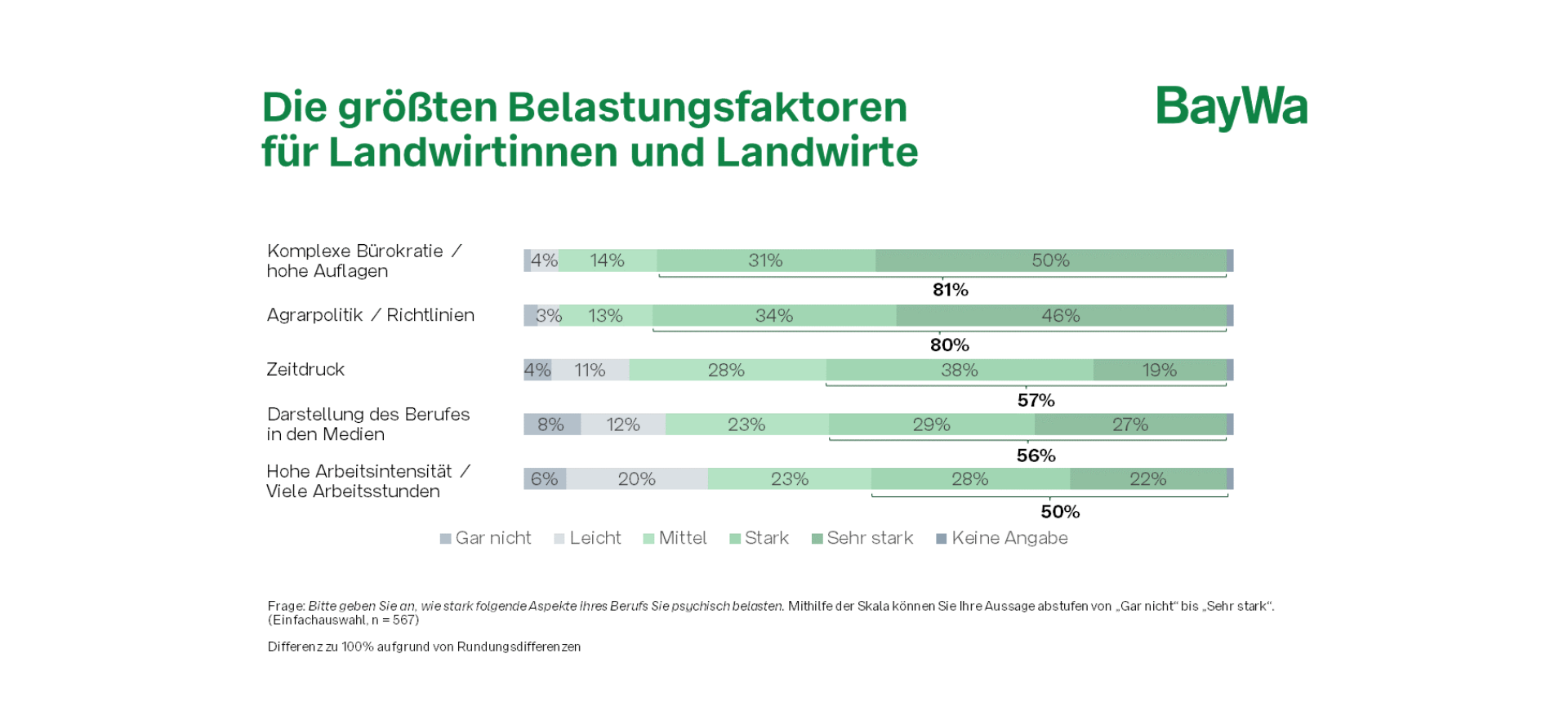 Belastungsfaktoren_Studie_2024_seelische_Gesundheit_Infografik.png