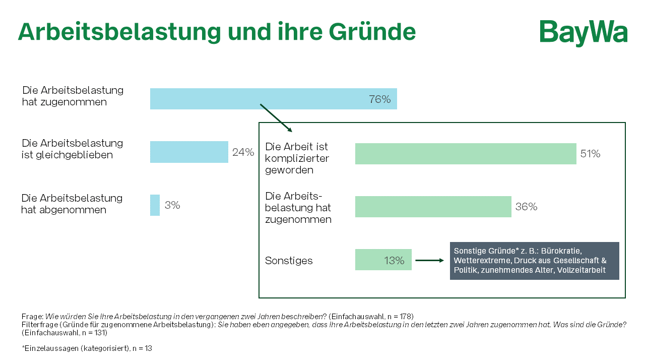 Seelische_Gesundheit_2024_Grafiken_Arbeitsbelastung.png